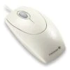 CHERRY WHEELMOUSE OPTICAL Corded Mouse, Light Grey, PS2/USB