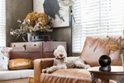 IMOU Rex 3D, 2K/3MP, Indoor Pan & Tilt Smart Wi-Fi Plug-In Security Camera -Quality Home Appliances Store e647279d67a49476f017571a646f3fd6